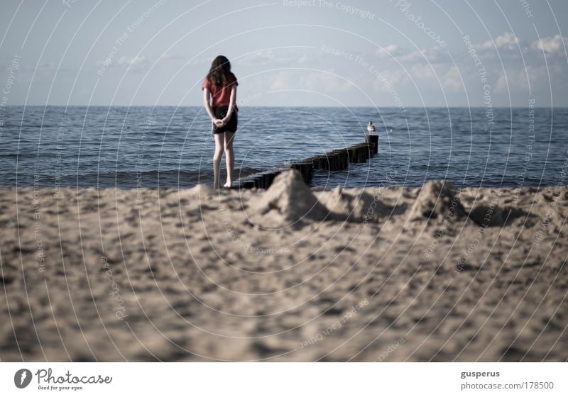 traum Farbfoto Außenaufnahme Morgen Licht Schwache Tiefenschärfe Totale elegant Leben harmonisch Wohlgefühl Zufriedenheit Sinnesorgane Erholung ruhig Meditation