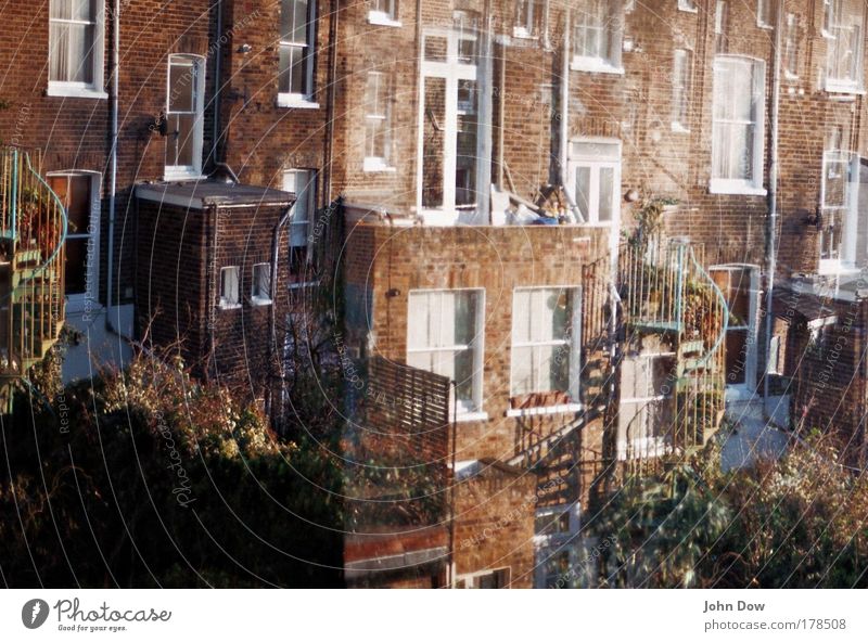 backyard Farbfoto Morgen Morgendämmerung Häusliches Leben Wohnung Sträucher Garten London England Haus Einfamilienhaus Gebäude Architektur Mauer Wand Treppe