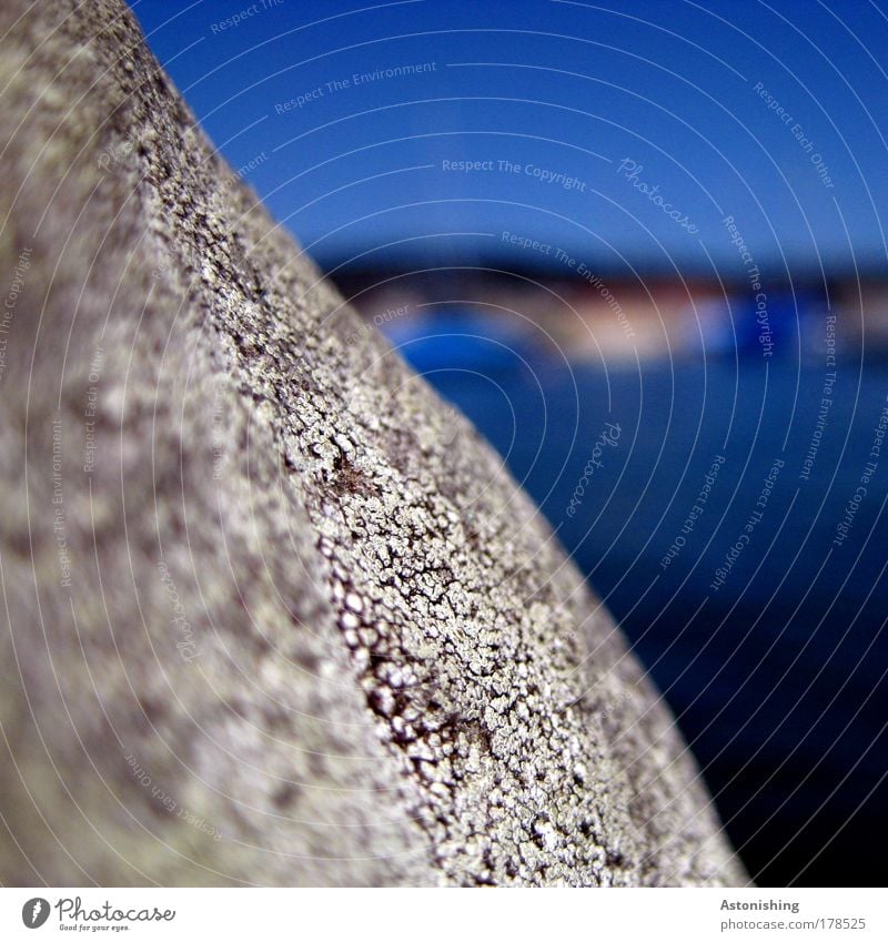 scharfer Stein! Farbfoto Außenaufnahme Makroaufnahme Menschenleer Textfreiraum rechts Tag Licht Schatten Kontrast Unschärfe Umwelt Natur Landschaft Wasser