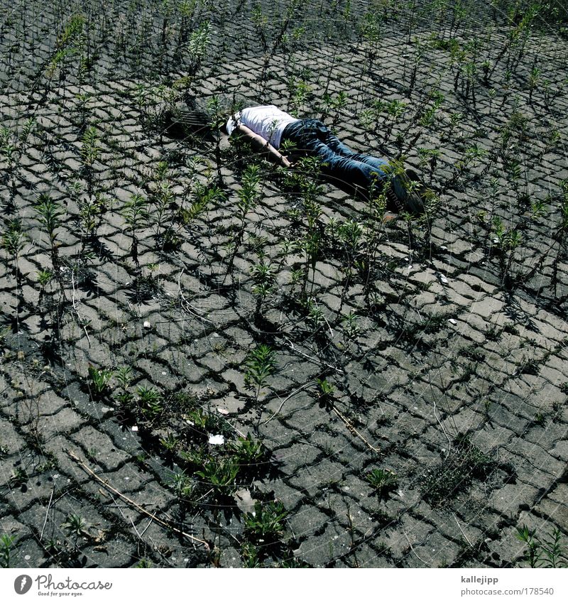 vogelstrauss Farbfoto Gedeckte Farben Außenaufnahme Tag Schatten Vogelperspektive Ganzkörperaufnahme Rückansicht Blick nach unten Lifestyle Maniküre Mensch Mann