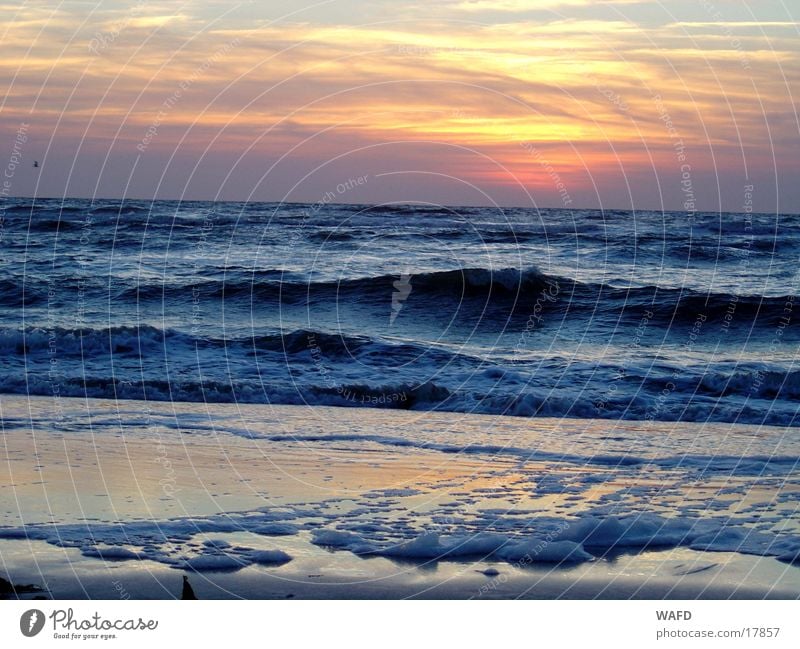 Tag am Meer St. Peter-Ording Strand Wellen Sonnenuntergang Nordsee