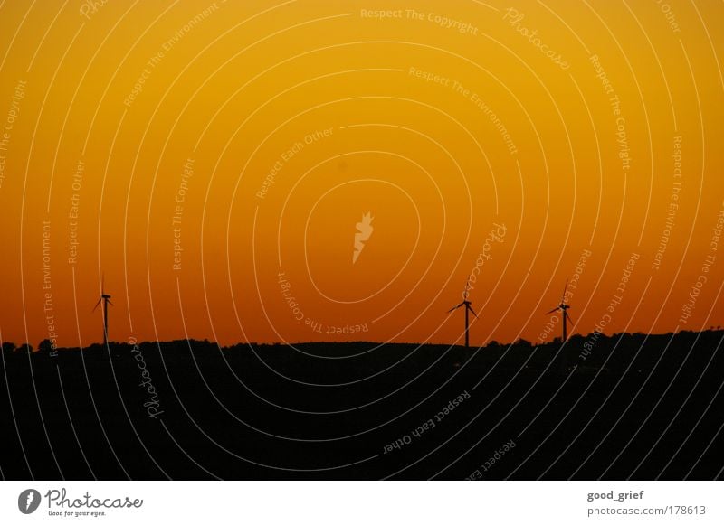 voll öko Farbfoto mehrfarbig Außenaufnahme Menschenleer Textfreiraum oben Abend Lichterscheinung Sonnenstrahlen Sonnenaufgang Sonnenuntergang