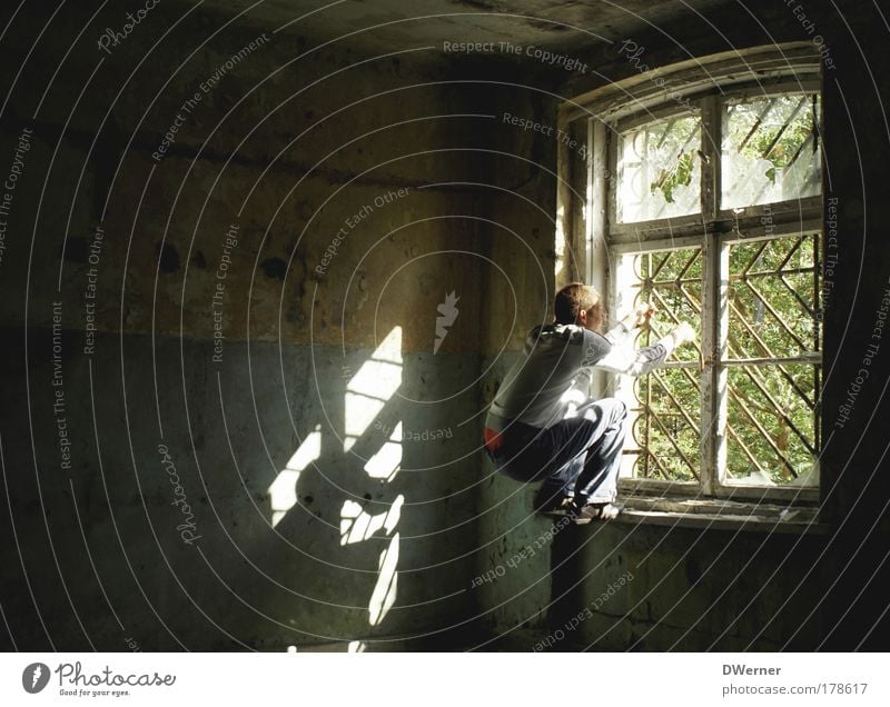 hinter Gittern Mensch Junger Mann Jugendliche 1 18-30 Jahre Erwachsene Ruine Fenster Stein kämpfen springen toben dunkel gruselig Neugier stark verrückt Gefühle