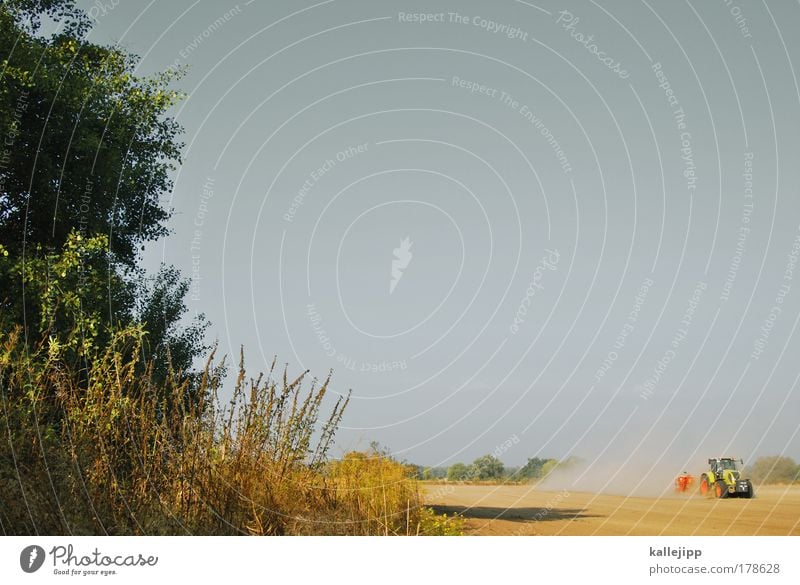 ackermann Farbfoto Außenaufnahme Textfreiraum oben Tag Licht Schatten Kontrast Arbeit & Erwerbstätigkeit Beruf Arbeitsplatz Umwelt Natur Landschaft Tier Erde