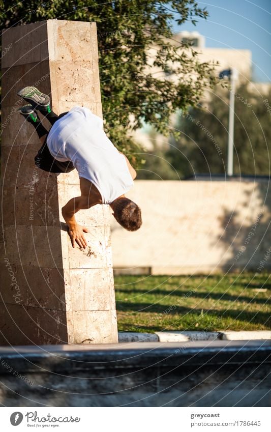 Junger Sportler zeigt Fertigkeiten des freien Laufens. Parkour Trick mit Stadtmauer Lifestyle Sommer Mensch Mann Erwachsene Baum Straße rennen Bewegung springen