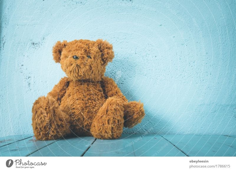 Teddybär Stil Freude Spielzeug Puppe Design Kunst Leben Farbfoto Nahaufnahme Textfreiraum rechts Tag Weitwinkel Blick in die Kamera