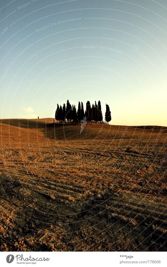 insieme siamo invincibili. Farbfoto Außenaufnahme Menschenleer Textfreiraum oben Tag Abend Dämmerung Licht Schatten Silhouette Ferien & Urlaub & Reisen Ferne