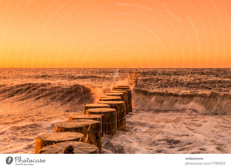 buhner bei sonnenuntergang Landschaft Wasser Wolkenloser Himmel Horizont Sonnenaufgang Sonnenuntergang Schönes Wetter Ostsee Zufriedenheit Warmherzigkeit Liebe