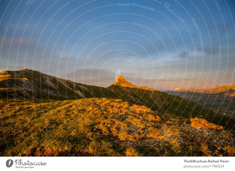 Spitzmeilen Umwelt Natur Landschaft blau braun gelb gold orange Abenddämmerung Abendsonne Schweiz Berge u. Gebirge spitzmeilen Flumser Berg Alpen grün