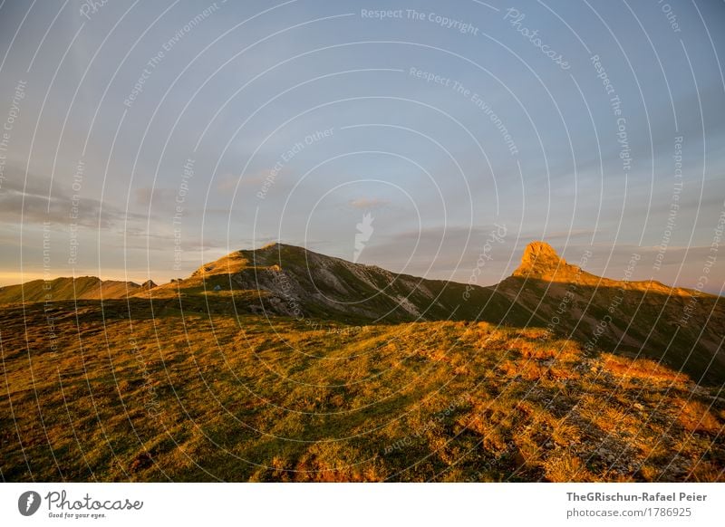 Spitzmeilen II Umwelt Natur Landschaft blau braun gelb gold orange Alpen Berge u. Gebirge Stimmung Sonnenuntergang Gras Licht Schattenspiel schön Schweiz