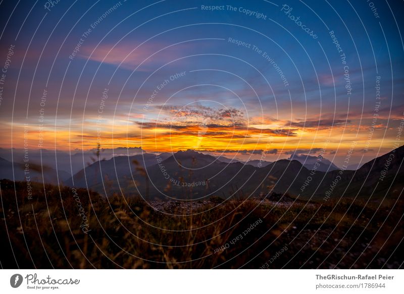 Abendstimmung Umwelt Natur Landschaft blau mehrfarbig gelb gold orange rosa schwarz Schweiz Glarner Alpen Berge u. Gebirge Gipfel Gras Stimmung Abenddämmerung