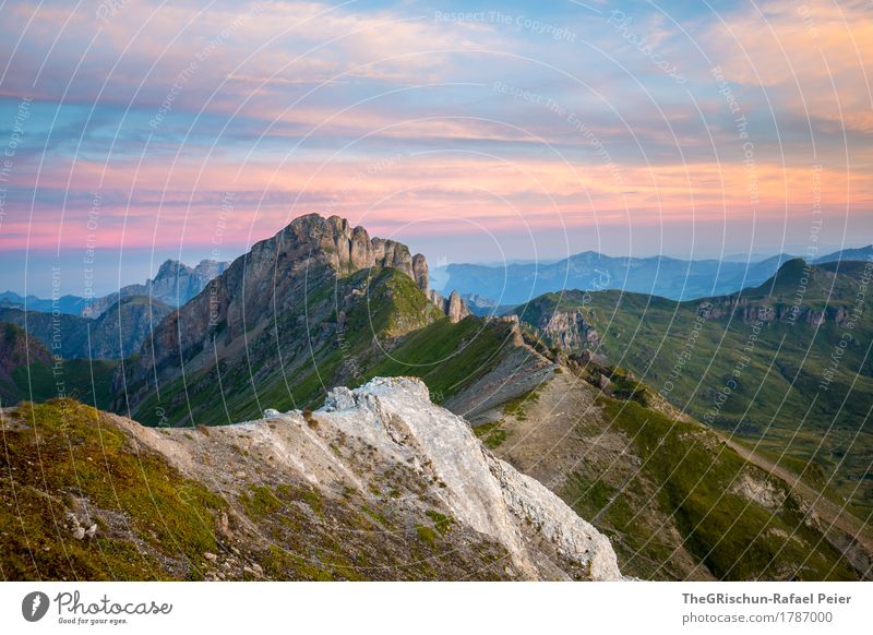 Aussicht am Morgen Umwelt Natur Landschaft blau grau grün rosa Berge u. Gebirge Bergkamm flumserberge Felsen Gras Schweiz Alpen Stein Farbfoto Außenaufnahme