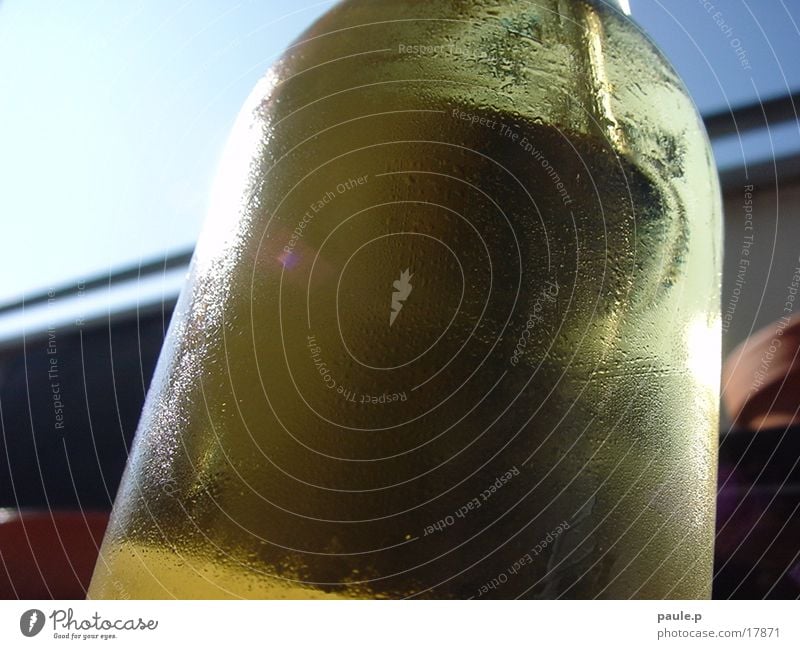 sonniges Getränk, frisch und feucht Licht Sommer obskur Sonne Wärme Cidre