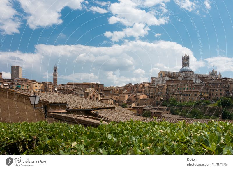 oh Siennnnnaaaaaaaaaaaaaaaa! Siena Stadt Stadtzentrum Altstadt Skyline Menschenleer Haus Dom Turm Bauwerk Gebäude Architektur Dach Sehenswürdigkeit Wahrzeichen