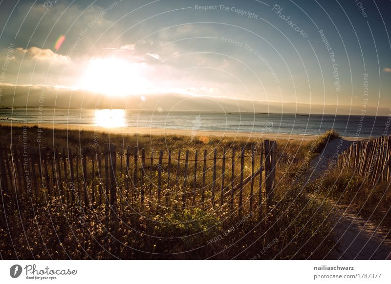 Sonnenuntergang am Strand in der Bretagne Meer Natur Landschaft Sonnenaufgang Sonnenlicht Gras Atlantik Zaun Unendlichkeit natürlich blau gelb Stimmung