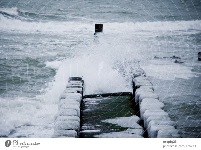 Kalte See Umwelt Wasser Winter Unwetter Wind Eis Frost Wellen Küste Strand Ostsee Meer Bewegung Einsamkeit kalt Klima Kraft Holzpfahl Gischt Eiszapfen