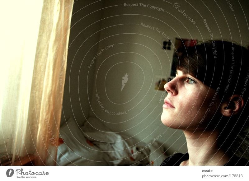 vermissen Farbfoto Innenaufnahme Licht Schatten Profil Blick nach vorn feminin Kopf Mauer Wand Fenster brünett Beton atmen Denken träumen authentisch einfach