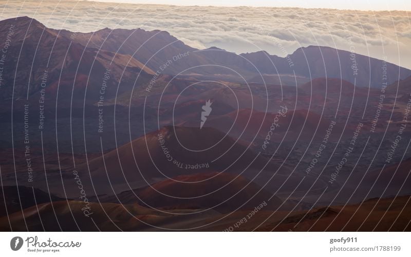 Vulkanlandschaft auf dem Haleakala (Maui/Hawaii) Umwelt Natur Landschaft Erde Sand Luft Wolken Horizont Sonnenaufgang Sonnenuntergang Wetter Schönes Wetter