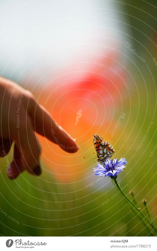 Schau mal! Umwelt Natur Landschaft Pflanze Tier ästhetisch zeigen Schmetterling Schmetterlinge im Bauch Flügel fliegen Blüte Hand Zeigefinger Blühend