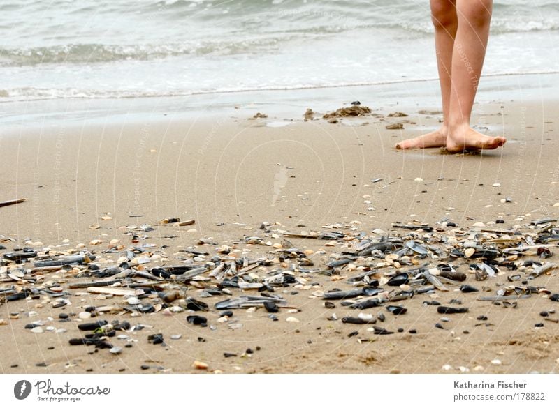 On the beach Leben Beine Fuß 1 Mensch Umwelt Natur Erde Sand Wasser Sommer Küste Strand Meer Fußspur braun schwarz weiß Muschel Tanzen Tag wellig