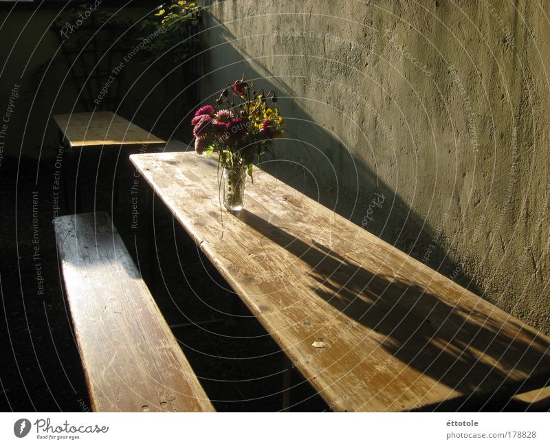 blümerant Farbfoto Außenaufnahme Abend Schatten Garten Dekoration & Verzierung Feste & Feiern Sonnenlicht Mauer Wand Blumenstrauß Beton Holz Glas ruhig Tag