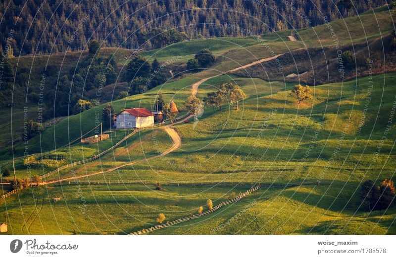 Ländliche Szene Septembers in den Karpatenbergen. Sommer Berge u. Gebirge Haus Umwelt Natur Landschaft Erde Herbst Baum Gras Wiese Wald Hügel Dorf Straße