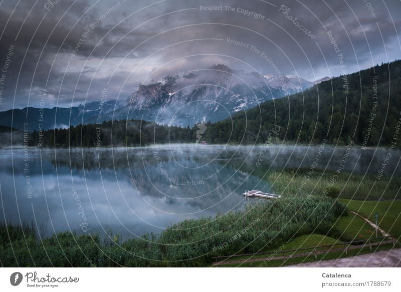 Klangfarbe | Smoke on the Water Natur Landschaft Pflanze Wasser Gewitterwolken Sommer Nebel Schilfrohr Nadelwald Alpen Gipfel Seeufer Steeg Wege & Pfade