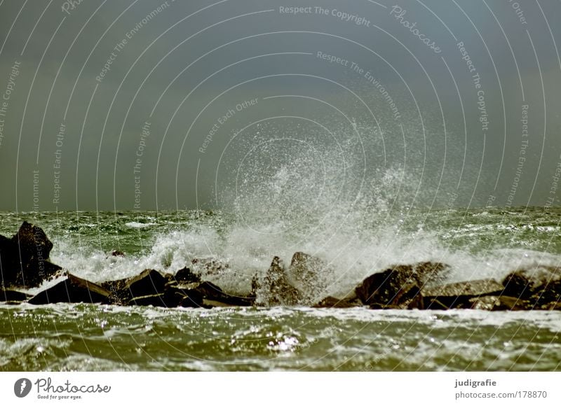 Ostsee Farbfoto Außenaufnahme Tag Umwelt Natur Landschaft Himmel Wetter Unwetter Sturm Wellen Küste Meer bedrohlich dunkel wild Stimmung Kraft Endzeitstimmung