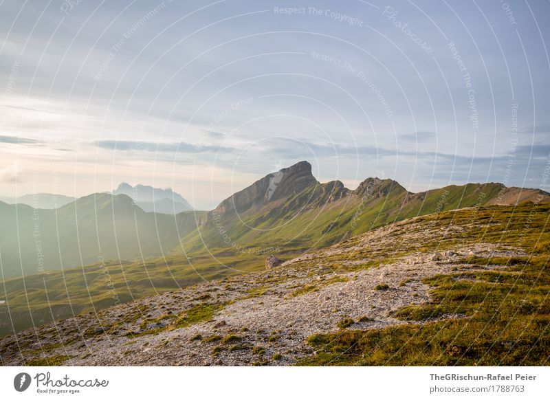 Gebirge Umwelt Natur Landschaft braun gelb grau grün Berge u. Gebirge Gipfel steinig Wege & Pfade Stein Gras Himmel Stimmung Außenaufnahme Alpen Schweiz