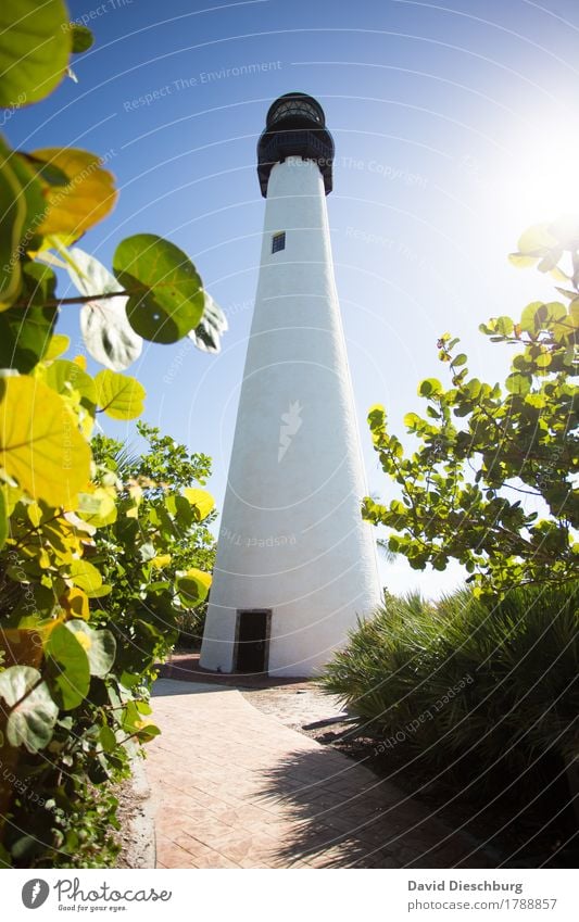 Lighthouse Ferien & Urlaub & Reisen Tourismus Ausflug Ferne Sightseeing Sommer Sommerurlaub Meer Insel Landschaft Wolkenloser Himmel Frühling Schönes Wetter