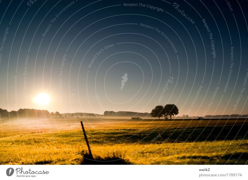 Ging ja noch mal gut Umwelt Natur Landschaft Pflanze Erde Luft Wolkenloser Himmel Horizont Herbst Klima Schönes Wetter Baum Gras Sträucher Feld Wald Autofahren