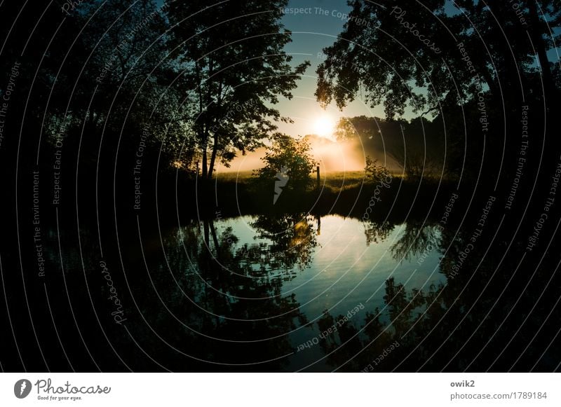 10 vor 7 Umwelt Natur Landschaft Pflanze Luft Wasser Wolkenloser Himmel Horizont Herbst Schönes Wetter Nebel Baum Sträucher Wald Bach leuchten außergewöhnlich