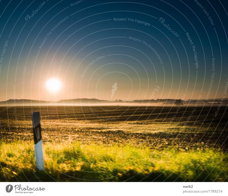 Vorbei Umwelt Natur Landschaft Pflanze Erde Luft Wolkenloser Himmel Horizont Herbst Klima Schönes Wetter Nebel Baum Gras Sträucher Feld Wald Autofahren leuchten