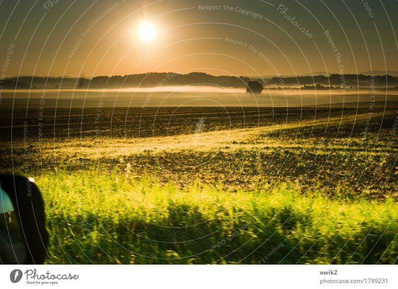 Tour Umwelt Natur Landschaft Pflanze Urelemente Erde Wolkenloser Himmel Horizont Herbst Klima Schönes Wetter Nebel Baum Gras Sträucher Feld Wald Autofahren