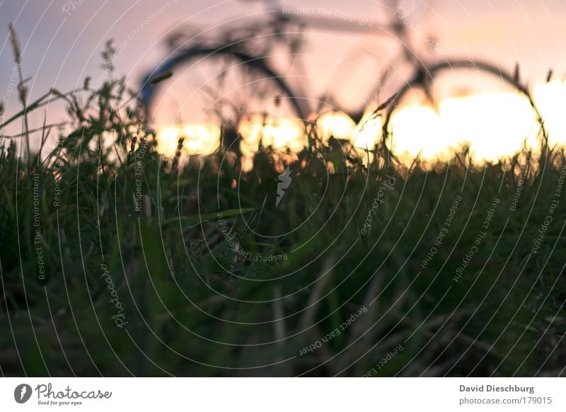 Absteigen + den Moment genießen Farbfoto Strukturen & Formen Morgen Morgendämmerung Tag Abend Dämmerung Licht Kontrast Silhouette Sonnenlicht Gegenlicht