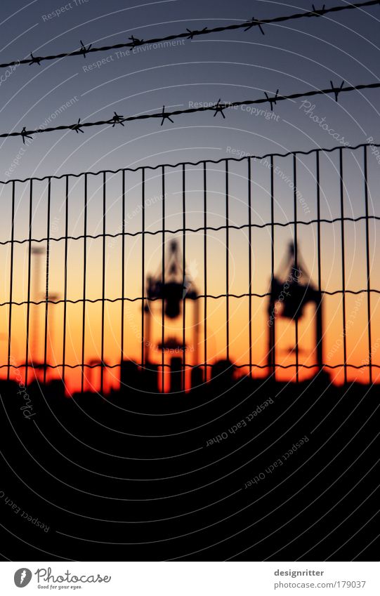 Weltoffenheit Farbfoto Textfreiraum unten Abend Dämmerung Licht Sonnenaufgang Sonnenuntergang Schwache Tiefenschärfe Arbeit & Erwerbstätigkeit Hafenarbeiter