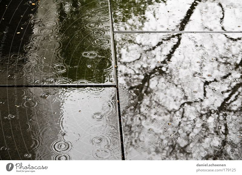 Hallo Herbst Gedeckte Farben Kontrast Silhouette Reflexion & Spiegelung Wasser Wassertropfen schlechtes Wetter Regen Traurigkeit