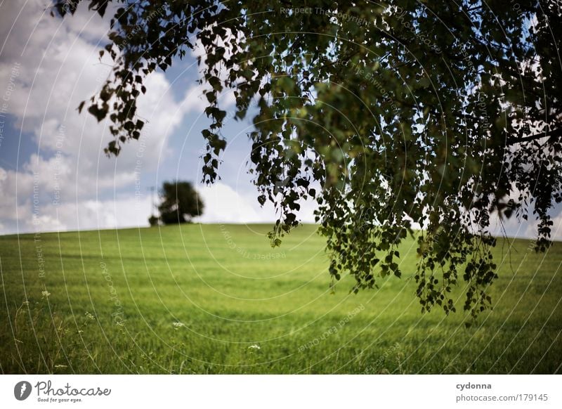 Landscape Farbfoto Außenaufnahme Detailaufnahme Menschenleer Textfreiraum unten Tag Licht Schatten Kontrast Starke Tiefenschärfe Zentralperspektive Totale