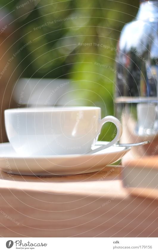 Zeit für eine Tasse Tee in der Sonne | Pause machen. Farbfoto Außenaufnahme Nahaufnahme Textfreiraum oben Textfreiraum unten Tag Sonnenlicht