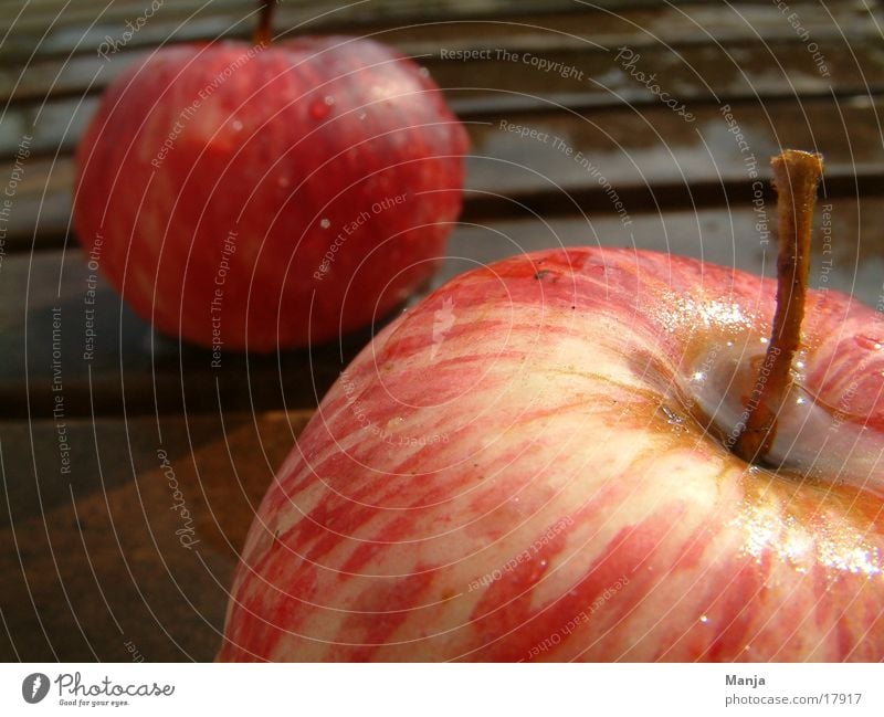 Äpfel rot saftig Gesundheit nass Apfel Frucht