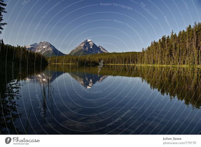 Gespiegelt Umwelt Natur Landschaft Pflanze Urelemente Sand Wasser Himmel Wolkenloser Himmel Horizont Sonne Sommer schön See Berge u. Gebirge Wald Tanzen