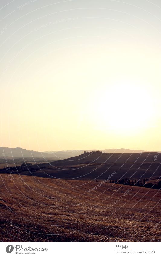 siamo spiriti. Farbfoto Außenaufnahme Menschenleer Textfreiraum oben Abend Dämmerung Gegenlicht Ferien & Urlaub & Reisen Ferne Umwelt Natur Landschaft Pflanze