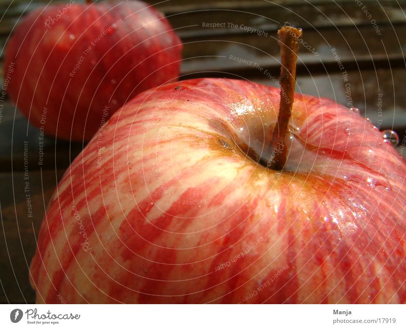 2 Äpfel rot saftig Gesundheit nass Apfel Frucht