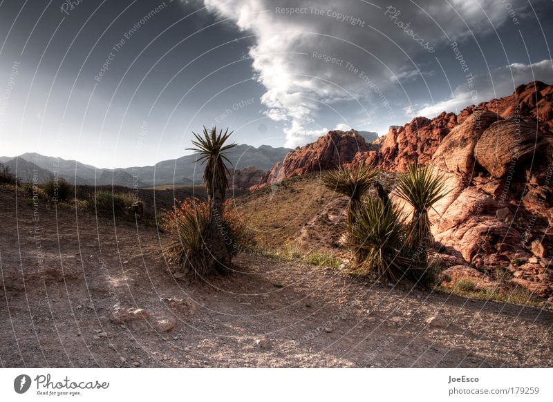 beauty shot Menschenleer Ferien & Urlaub & Reisen Tourismus Ferne Freiheit Expedition Sommer Natur Landschaft Wolken Horizont Sonnenlicht Schönes Wetter Pflanze