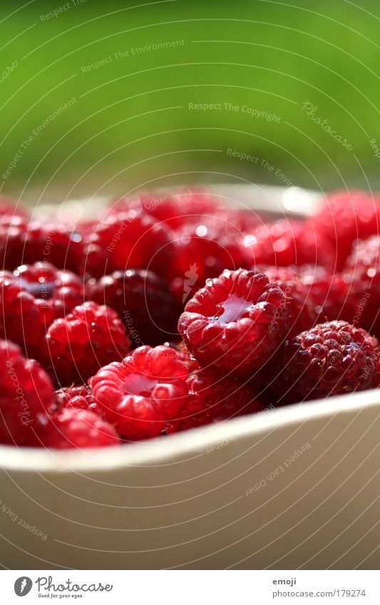 fruchtig Farbfoto mehrfarbig Außenaufnahme Nahaufnahme Detailaufnahme Makroaufnahme Textfreiraum oben Textfreiraum unten Schwache Tiefenschärfe Frucht Ernährung