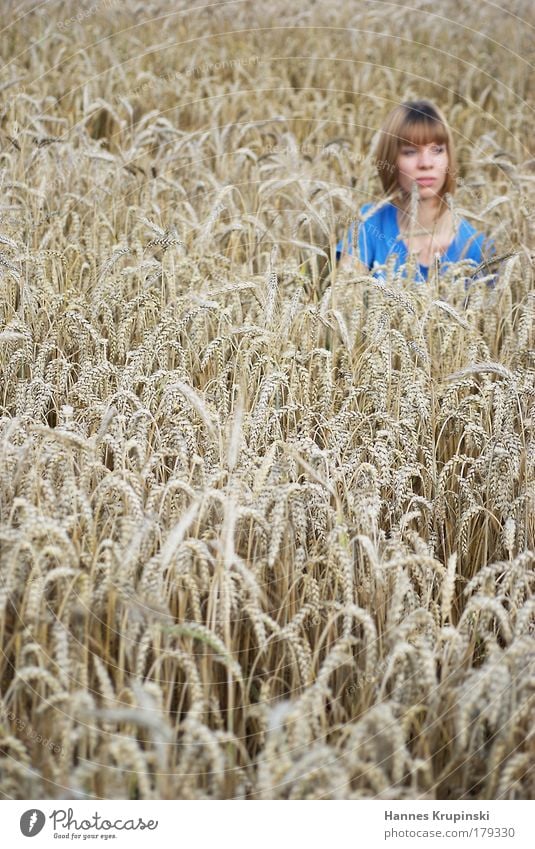 schlecht versteckt Erntedankfest Mensch feminin Junge Frau Jugendliche 1 18-30 Jahre Erwachsene Schönes Wetter Korn Feld blond kurzhaarig beobachten Denken