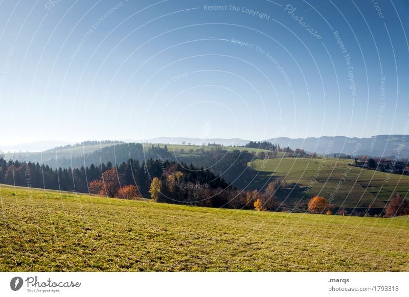 Feld, Wald und Wiese Tourismus Ausflug Natur Landschaft Wolkenloser Himmel Horizont Sommer Herbst Schönes Wetter Baum Berge u. Gebirge Farbfoto Außenaufnahme