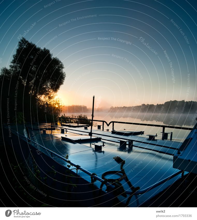 Herbstmorgen Umwelt Natur Landschaft Luft Wasser Wolkenloser Himmel Klima Schönes Wetter Nebel Baum Sträucher See Wasserfahrzeug Metall leuchten glänzend nass