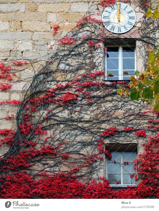 Eremitage Farbfoto mehrfarbig Außenaufnahme Menschenleer Textfreiraum links Textfreiraum oben Tag Abend Dämmerung Licht Ausflug Traumhaus Garten Renovieren