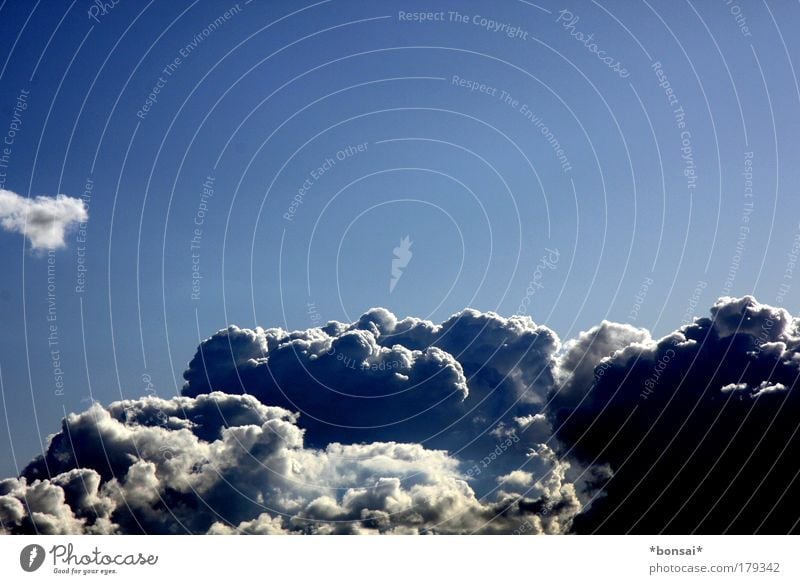 bewölkt Natur Himmel Wolken Gewitterwolken Sonnenlicht Sommer Klima Wetter Schönes Wetter schlechtes Wetter bedrohlich dunkel groß Unendlichkeit hoch natürlich